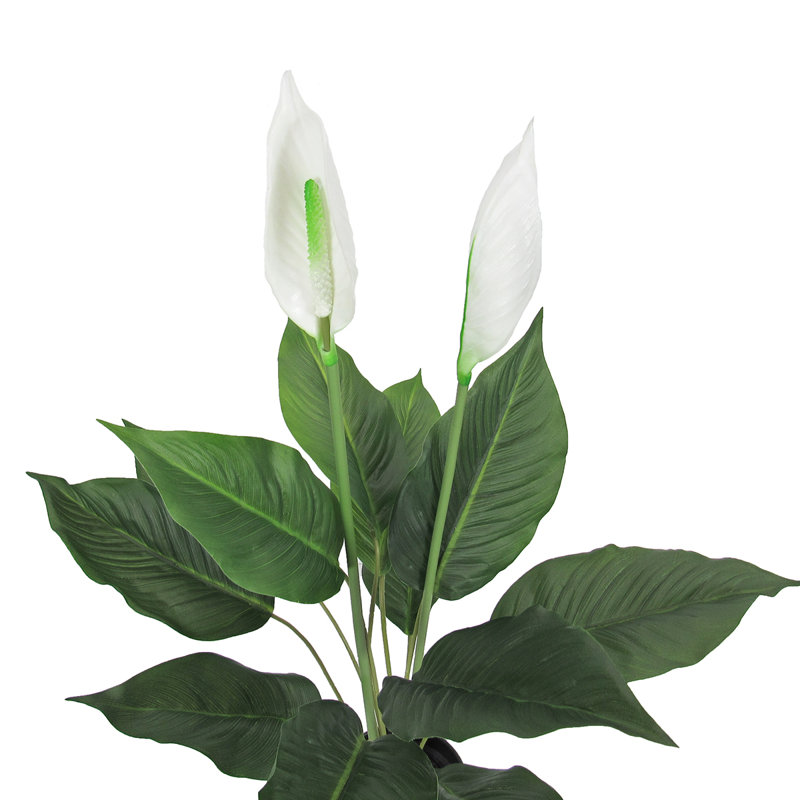 Primrue Artificial Peace Lily Plant in Pot Wayfair